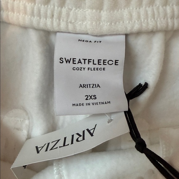 Aritzia Womens Mega Sweatfleece Cargo Joggers - Picture 5 of 8